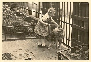 von der Dammheide, Iris und Schäferhund, 1954